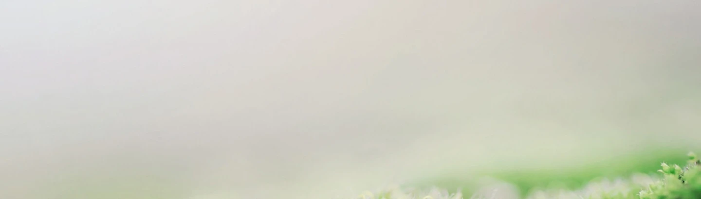 Bg-img
